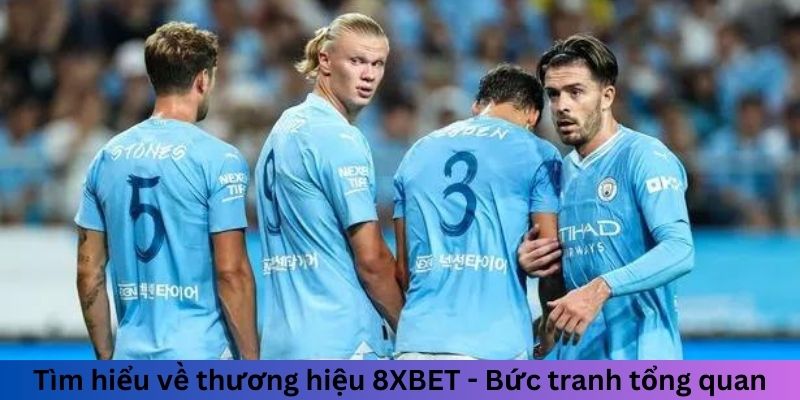 Tìm hiểu về thương hiệu 8XBET - Bức tranh tổng quan