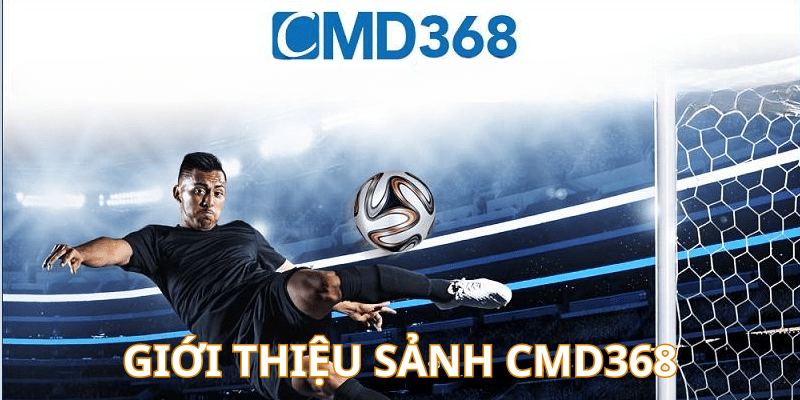 Tìm hiểu sảnh cược thể thao trực tuyến CMD368