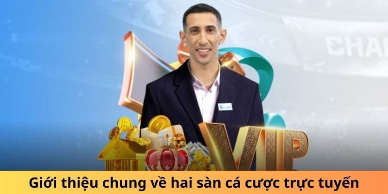 Giới thiệu chung về hai sàn cá cược trực tuyến