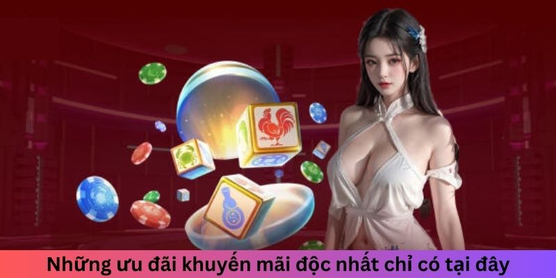 Những ưu đãi khuyến mãi độc nhất chỉ có tại đây