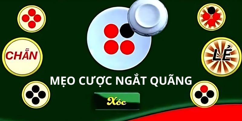 Mẹo cược ngắt quãng cho hình thức xóc đĩa online