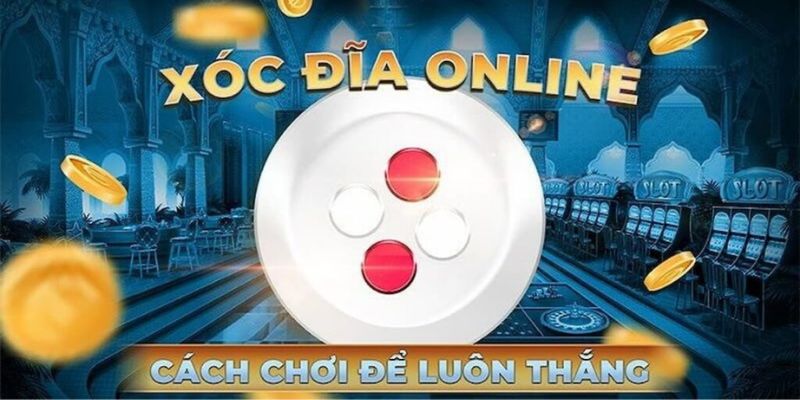 Mẹo chơi xóc đĩa online cực chuẩn từ chuyên gia số 1